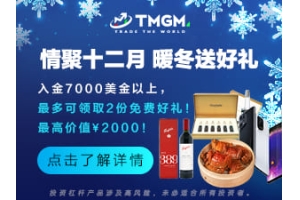 TMGM行业中的官网平台：搭建你的成功之